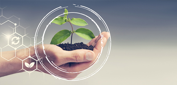 Sustainability